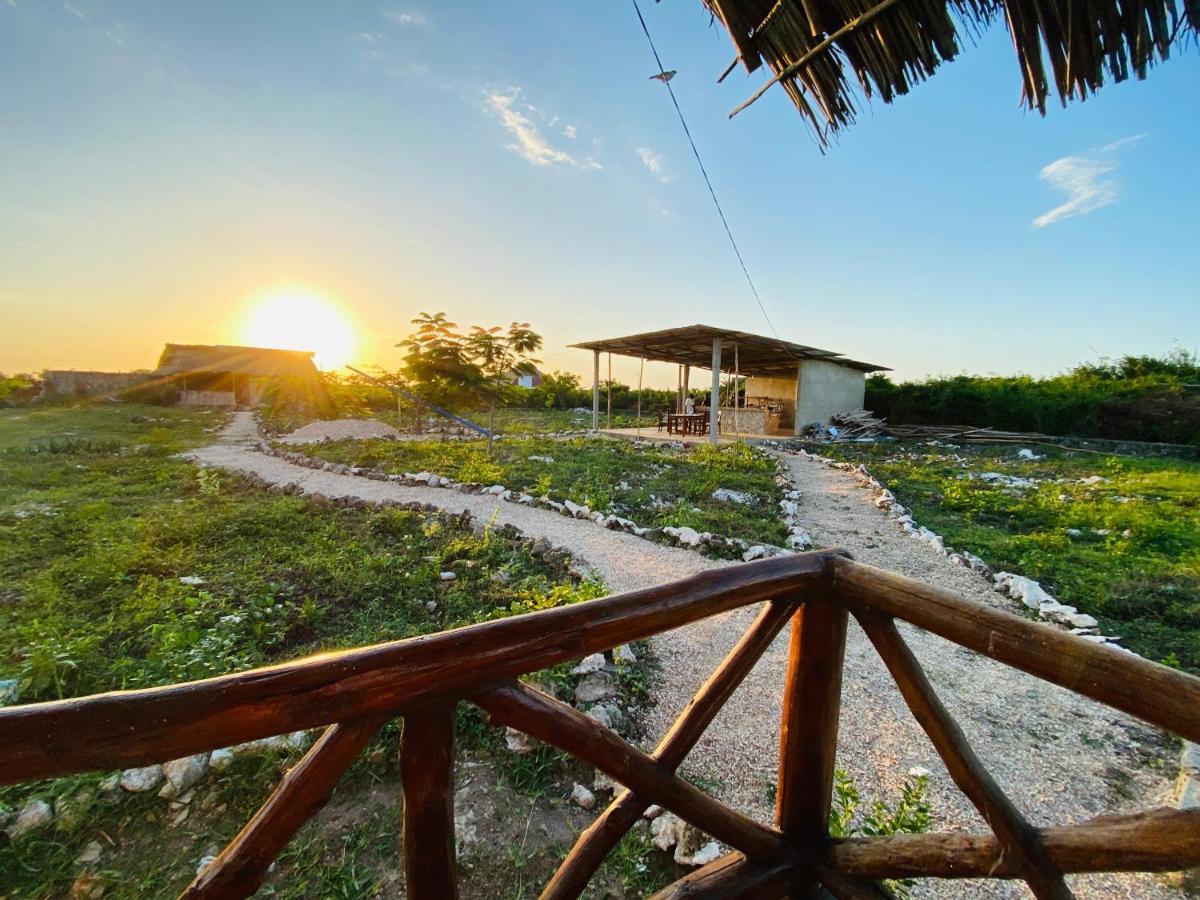 Habibis Bottle House Nungwi Exterior foto